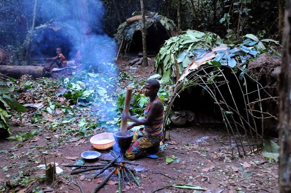 A Bayaka person prepares food by a fire in a forest clearing in the Central African Republic rainforest.