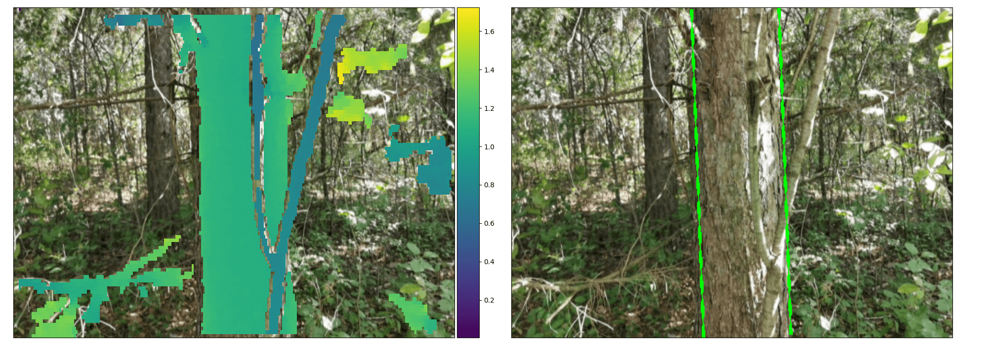 An image from the app, showing trees in a dense forest highlighted in block colour. 