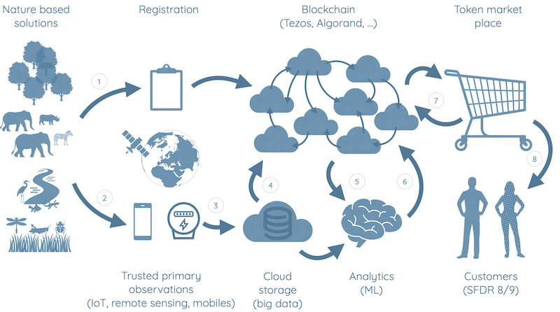 System architecture of the 4C marketplace