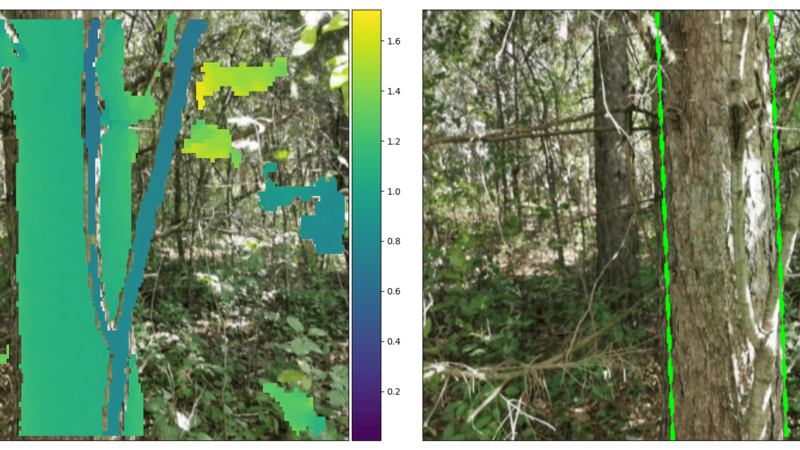 An image from the app, showing trees in a dense forest highlighted in block colour. 