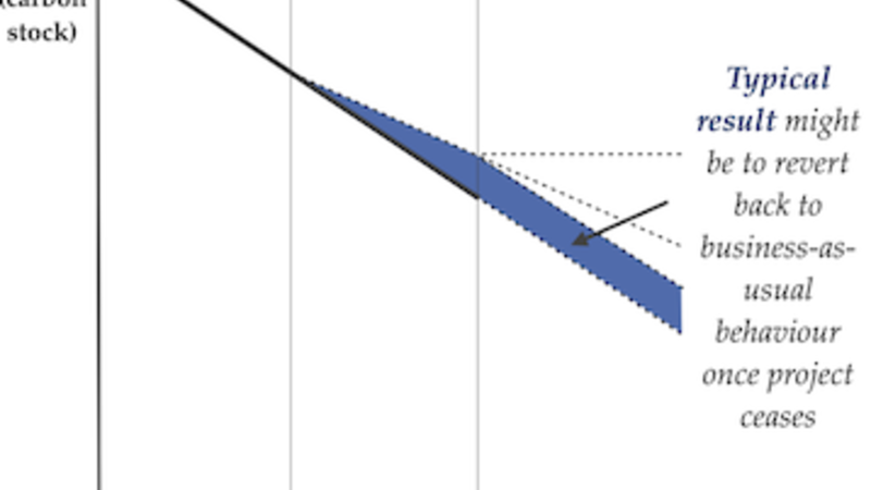 Typical permanence outcome