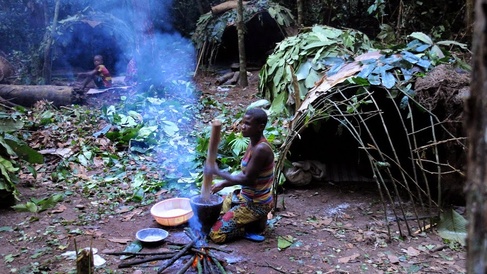 A Bayaka person prepares food by a fire in a forest clearing in the Central African Republic rainforest.
