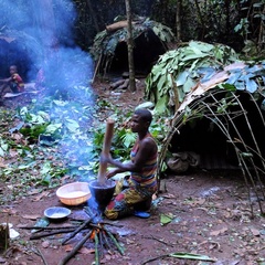 A Bayaka person prepares food by a fire in a forest clearing in the Central African Republic rainforest.