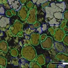An overhead image of a forest with tree crowns circled to show individual trees and areas without trees.